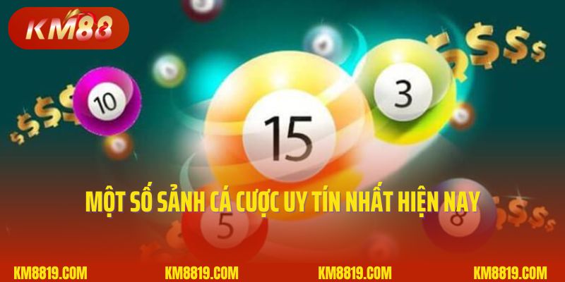 Một số sảnh cá cược uy tín nhất hiện nay